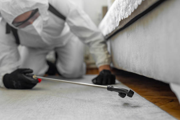 Professional Bed Bug Control technician working in Elm Creek, TX
