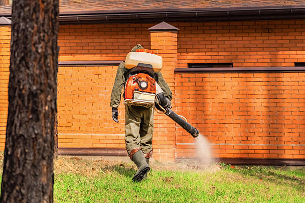 Trusted Rodent Control service in Elm Creek, TX - Nex Pest Control